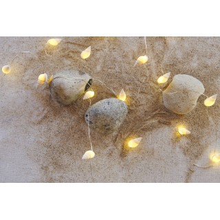 GUIRLANDE COQUILLAGE LILLE 1.9 M/20 LEDS