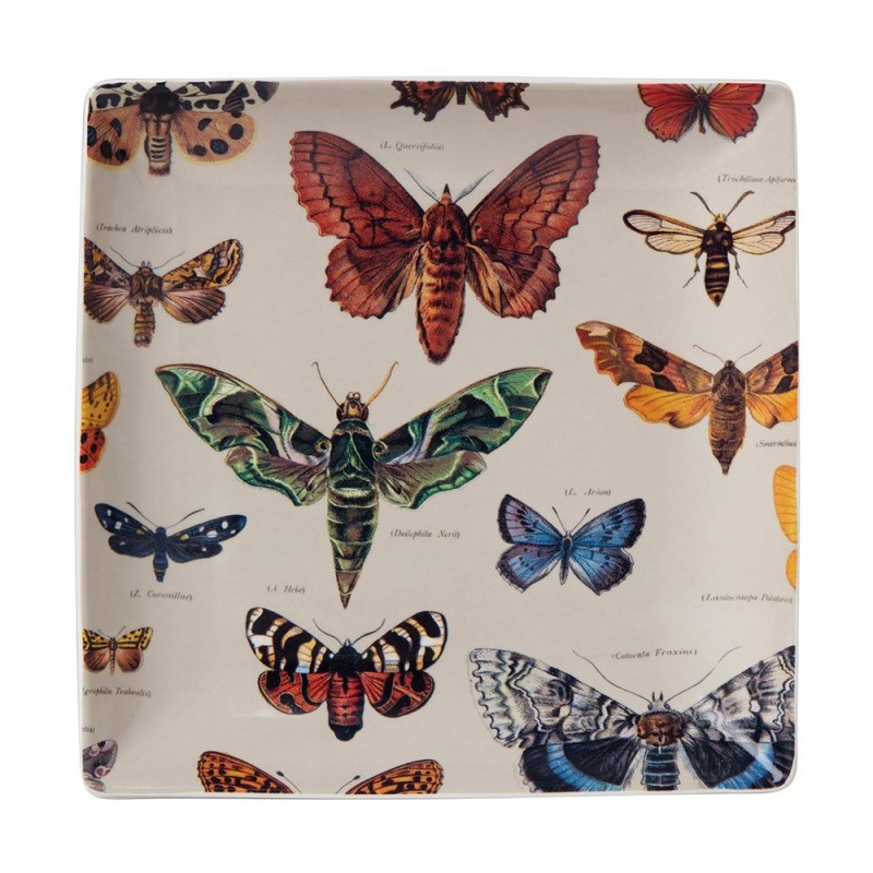 VIDE POCHE BIOLOGICA PAPILLONS 20X20CM VIDE POCHE BIOLOGICA PAPILLONS 20X20CM - CUBIC