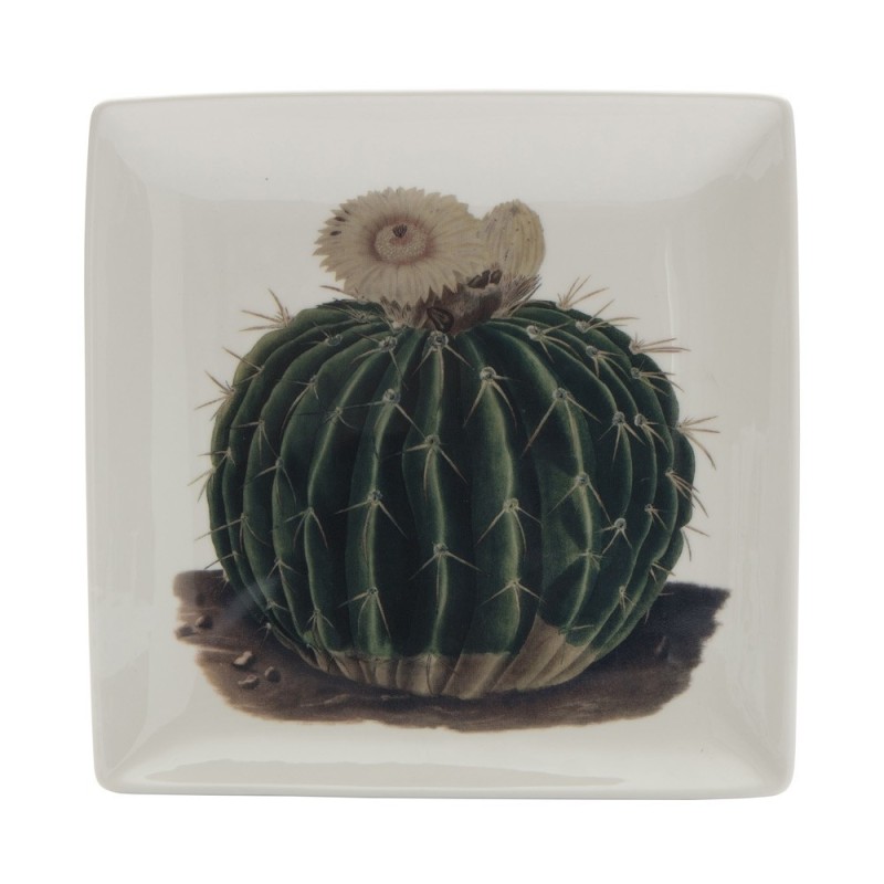 VIDE POCHE BIOLOGICA CACTUS 20X20CM VIDE POCHE BIOLOGICA CACTUS 20X20CM - CUBIC