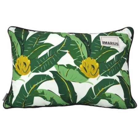 COUSSIN MARIUS ABACA 40X60 - Où est Marius