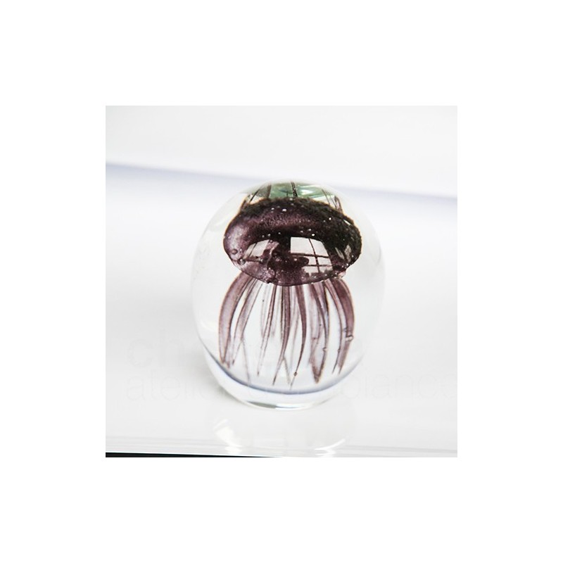 SULFURE 10CM MEDUSE PELAGIA SULFURE 10CM MEDUSE PELAGIA - Chehoma