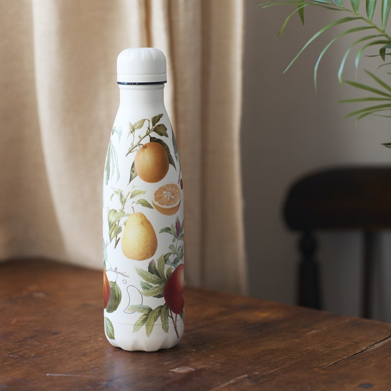BOUTEILLE CHILLY'S 500ML BOTANICAL FRUIT BOUTEILLE CHILLY'S 500ML BOTANICAL FRUIT - CHILLY'S