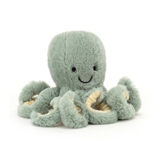 Bébé pieuvre avec ses tentacules bleu