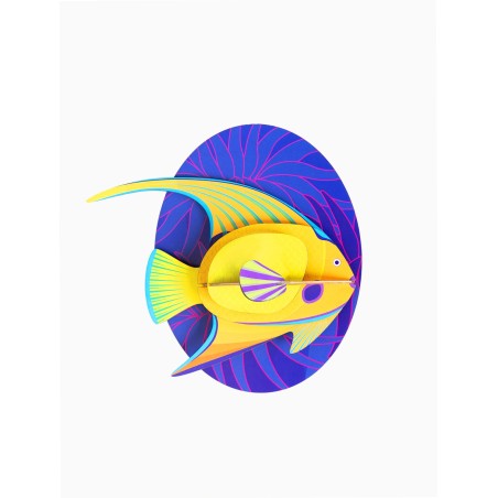 GRANDS POISSONS POISSON ANGE JAUNE - STUDIO ROOF